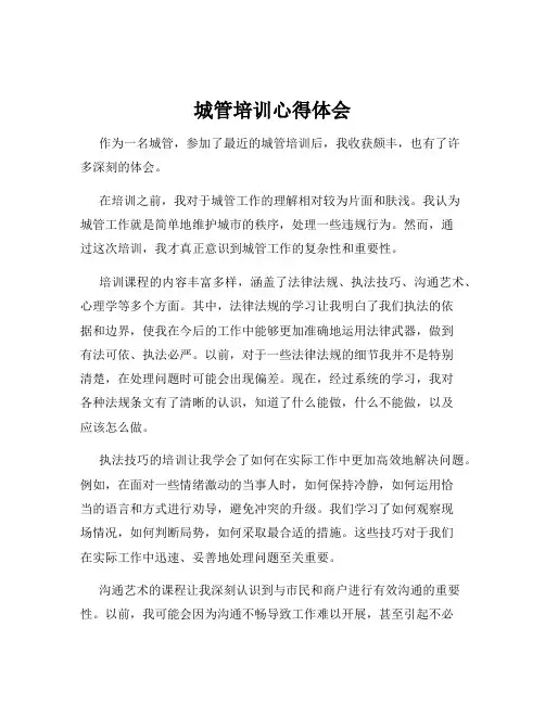 城管培训心得体会