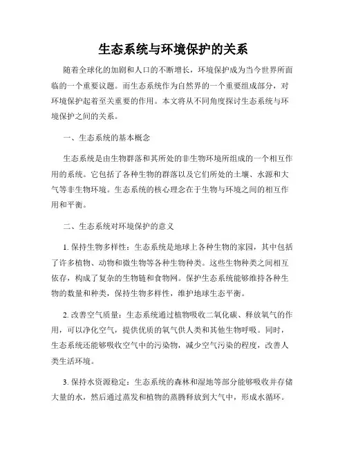 生态系统与环境保护的关系
