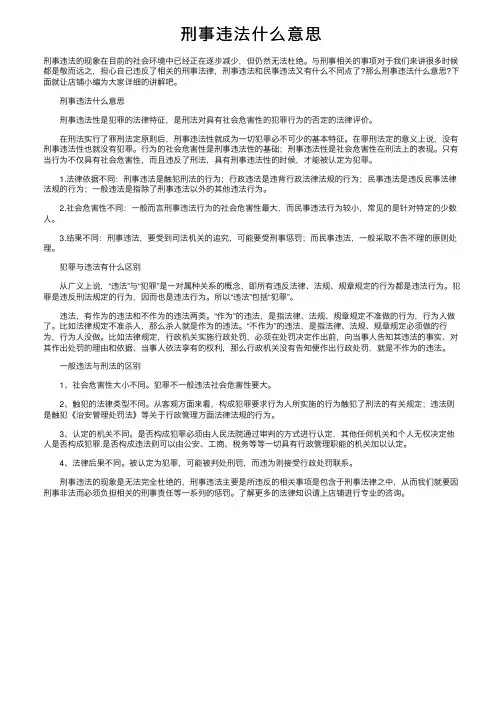 刑事违法什么意思
