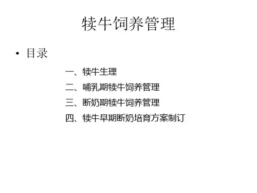 犊牛饲养管理