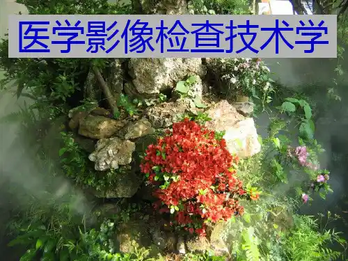 医学影像检查技术学ppt课件