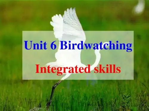 牛津译林版八年级英语上册《nit 6 Birdwatching  Integrated skills》优质课课件_14