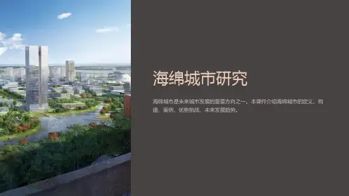 《海绵城市研究》课件