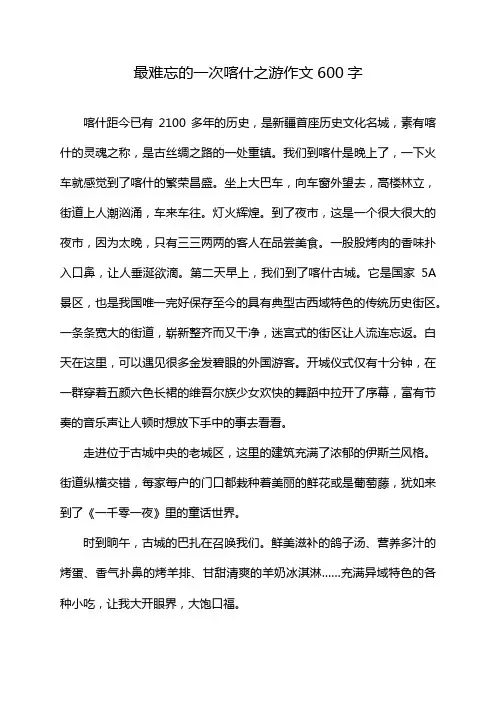 最难忘的一次喀什之游作文600字