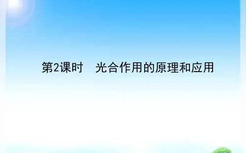 2019人教版新教材高中生物必修1：5.4.2 光合作用的原理和应用教学课件