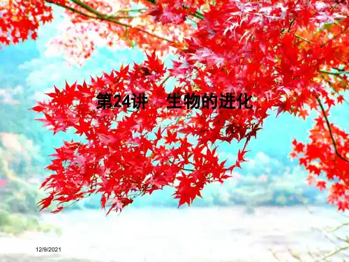 高考生物一轮复习 第七单元 生物的变异、育种和进化 第24讲 生物的进化课件_00001