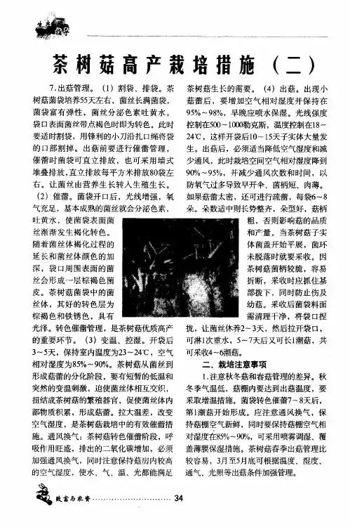 茶树菇高产栽培措施(二)