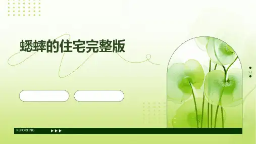 蟋蟀的住宅完整版