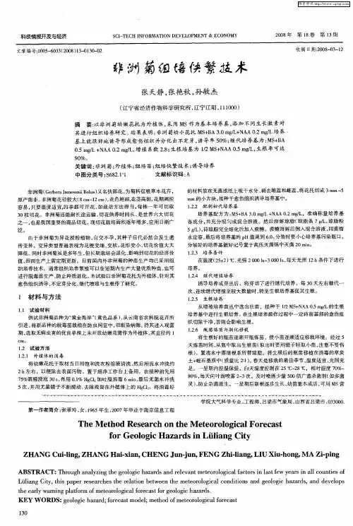 非洲菊组培快繁技术