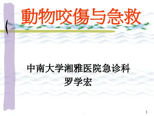动物咬伤讲PPT课件