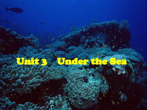 人教版高二英语 选修七 unit3 reading under the sea (共19张PPT)