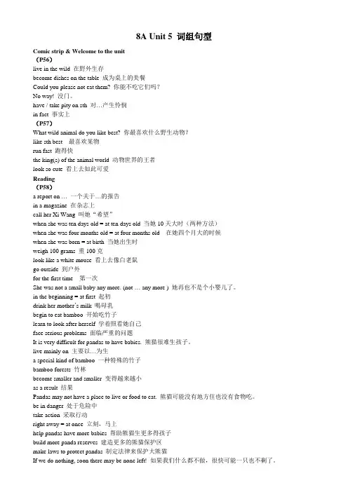 译林版八年级上册英语第五单元词组句型 8A Unit5 词组句型