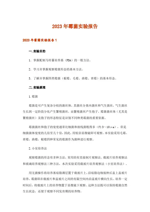2023年霉菌实验报告
