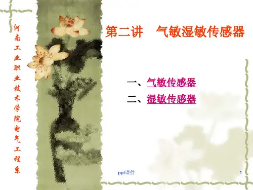 半导体气敏传感器分类  ppt课件