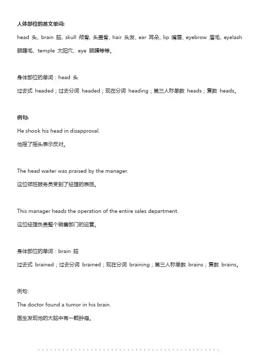 人体部位的英文单词