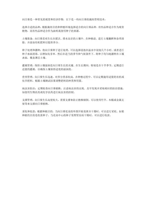 向日葵栽培管理技术