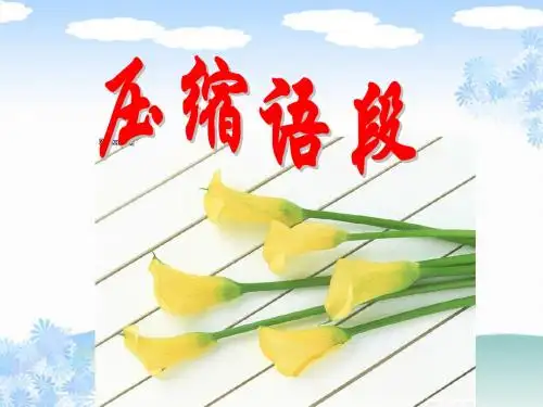 压缩语段(教案)