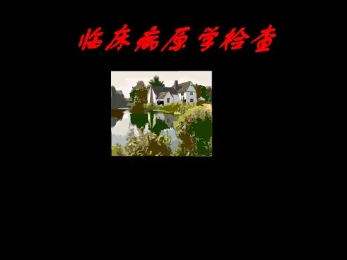 临床病原学检查