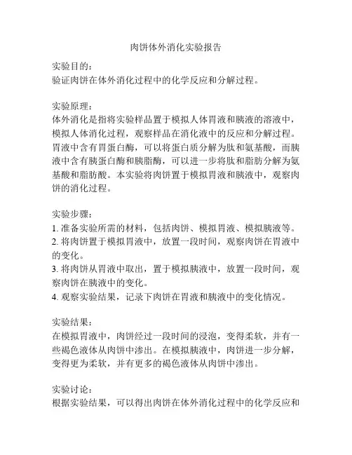 肉饼体外消化实验报告