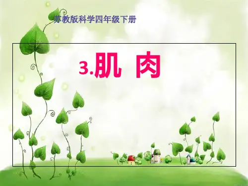 小学科学苏教版《肌肉》PPT优质课件1