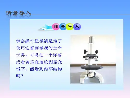 实验：制作并观察植物细胞临时装片