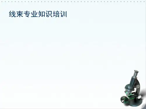 线束专业知识培训