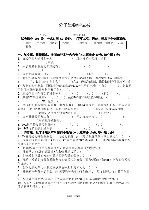 分子生物学试卷(含答案)