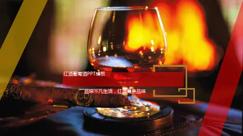 红酒葡萄酒文化与鉴赏ppt模板酒庄商务酒会红酒知识宣传案 (4)