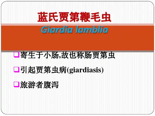 蓝氏贾第鞭毛虫