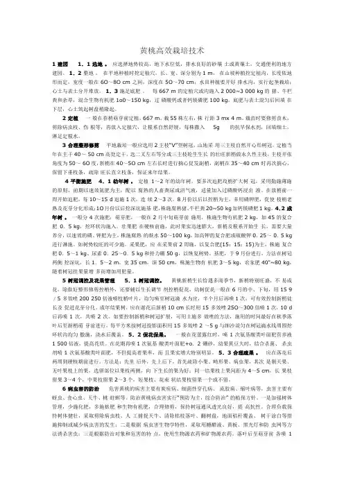 黄桃高效栽培技术