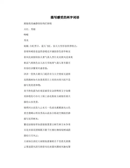 描写感受的两字词语