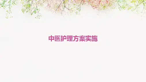 中医护理方案实施ppt课件