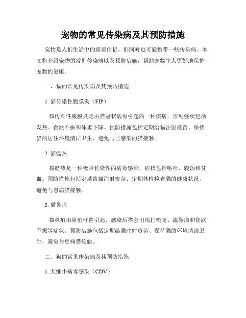 宠物的常见传染病及其预防措施