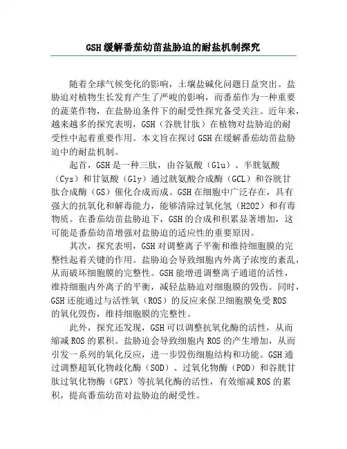 GSH缓解番茄幼苗盐胁迫的耐盐机制研究