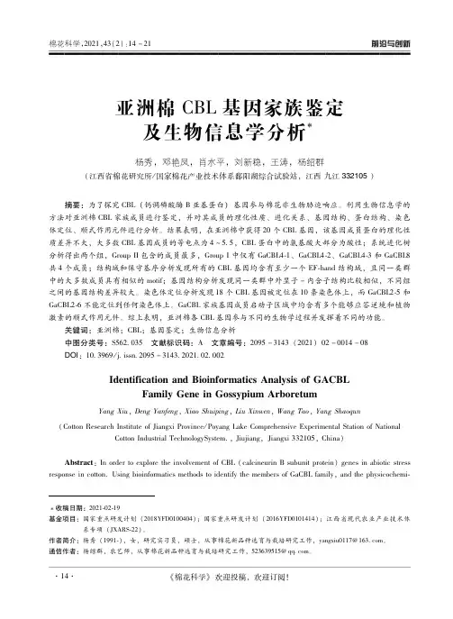 亚洲棉CBL基因家族鉴定及生物信息学分析