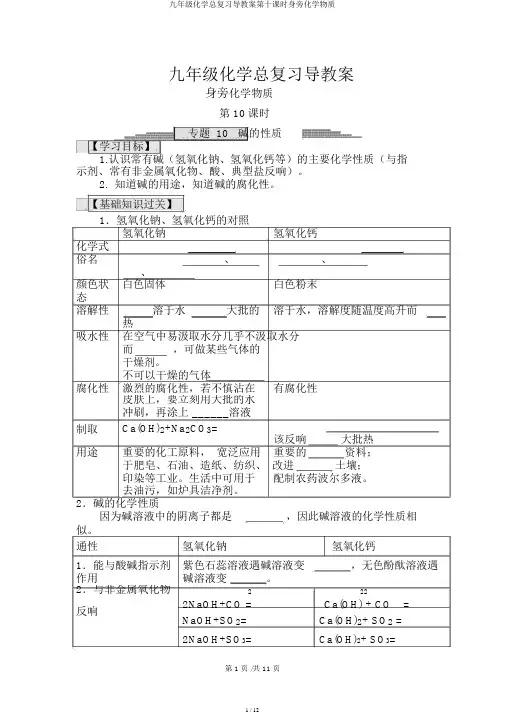 九年级化学总复习导学案第十课时身边化学物质
