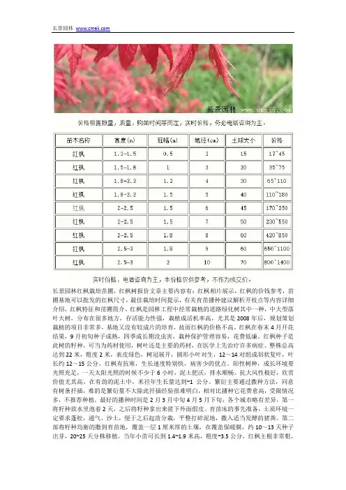 红枫树报价
