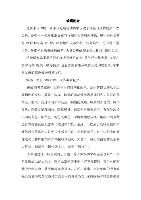 11.蝙蝠和雷达(相关资料)