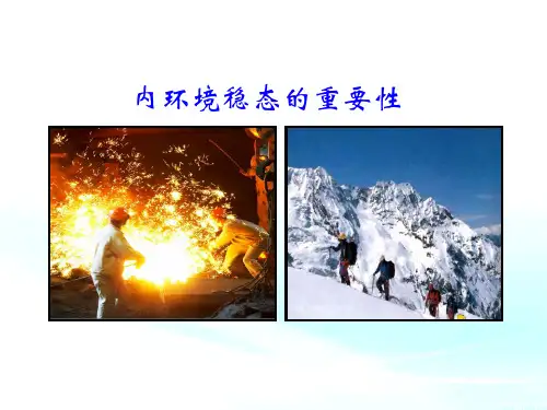 高中生物必修3精品课件17：1.2 内环境稳态的重要性