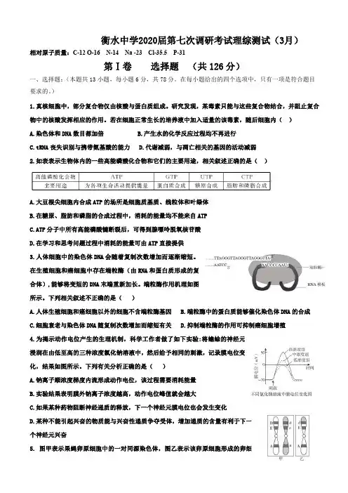 河北省衡水中学2020高三下学期第七次调研考试理综试题及答案