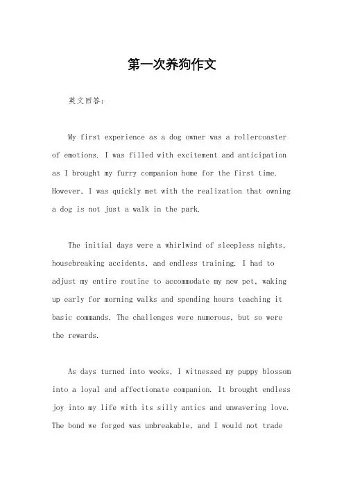 第一次养狗作文