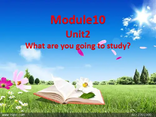 六年级下册英语课件Module 10 Unit2 What are you going to study  外研版 (共13张PPT)