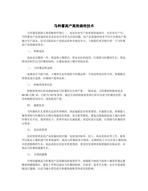 马铃薯高产高效栽培技术