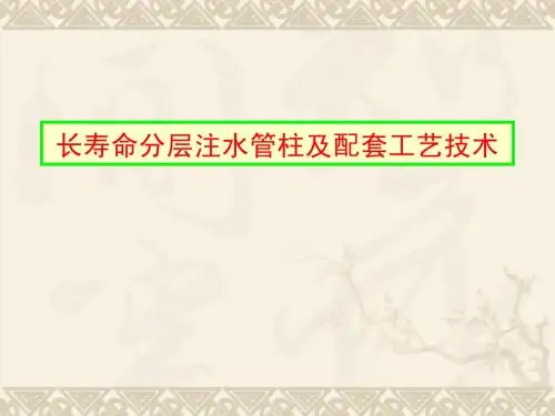 长寿命分层注水管柱