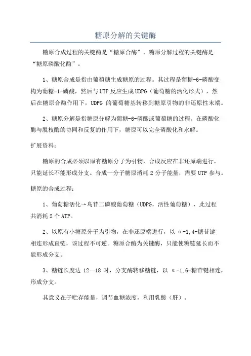 糖原分解的关键酶