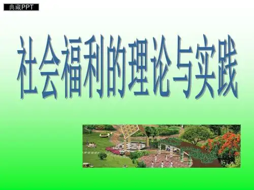 社会福利的理论和实践PPT课件