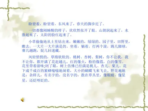 春天的畅想ppt