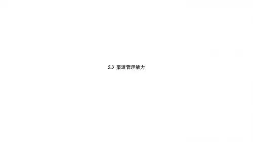 11-3渠道管理能力