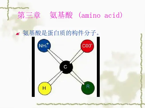 第三章 氨基酸