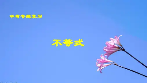 2021年九年级中考专题复习：不等式    课件